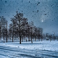 Питер Валит снег :: Юрий Плеханов
