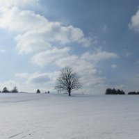 Пейзаж зимний :: Mariya laimite