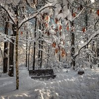 Воспоминания о прошедшей осени. :: Василий Ярославцев