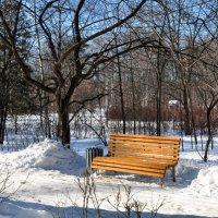 Одинокая скамейка... :: Анатолий Колосов