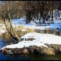 Будем ждать весну :: олег свирский 