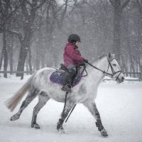 снегопад :: Елена Логачева