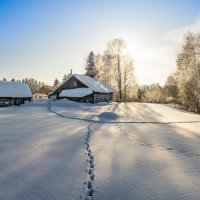 Февраль месяц в деревне... :: Федор Кованский