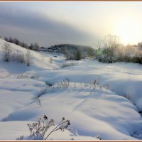 На закате. :: Александр Шимохин