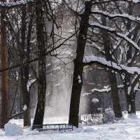 Март. С деревьев падает снег. :: Владимир Безбородов
