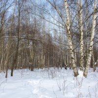 Март. :: Владимир Безбородов