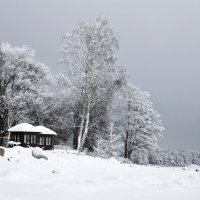 Белое безмолвие :: Николай Танаев