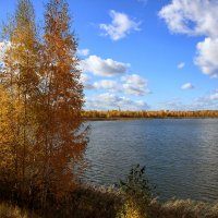 Осень в бору :: Oleg S