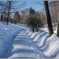 Весенний денёк :: Владимир Белов