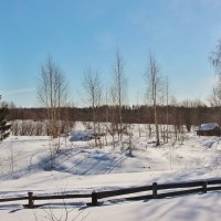 Деревенский пейзаж. :: Галина .