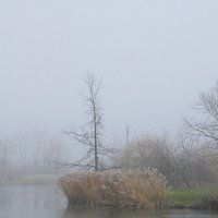 Островок в тумане :: Николай Танаев