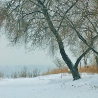 На подиуме - март :: Екатерина Торганская