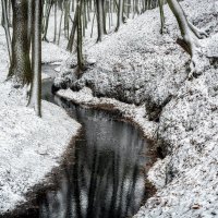 ... :: Cлава Украине 