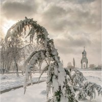 зима 2018 :: Василий Королёв