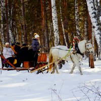 Колокольчиков волшебный звон :: Сергей Царёв