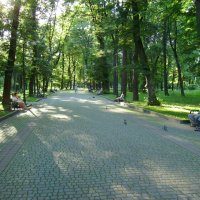 В   Ивано - Франковском   парке :: Андрей  Васильевич Коляскин