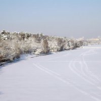 Серебряный бор :: Алла Захарова