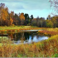 Была совсем недавно осень :: Вячеслав Минаев