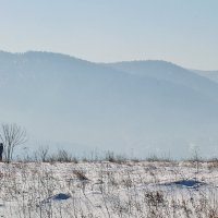 О чем-то о своем... :: Екатерина Торганская