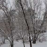 Снег в феврале :: Олег Афанасьевич Сергеев