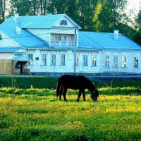 ****** :: Сергей Кочнев