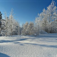 Солнечный день :: Leonid Rutov