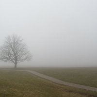 Ах туман туман.... :: Mariya laimite