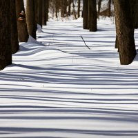 Солнце ниже, длиннее тени :: Юрий Кольцов