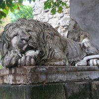 спящий лев :: Евгений Гузов
