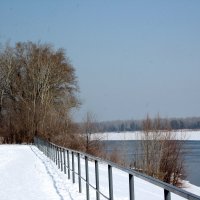 Полынья, где зимуют лебеди. :: Олег Афанасьевич Сергеев