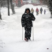 у природы нет плохой погоды :: леонид логинов