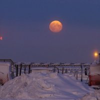 утро Сабетты :: андрей 