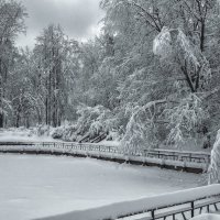 Зима. Пасмурно. :: Василий Ярославцев