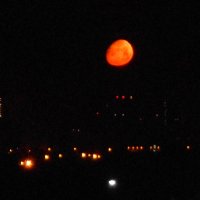 Ах, эта красная Луна! :: Елена Бушуева