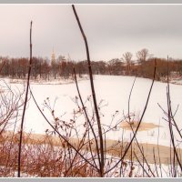 Пасмурные цвета зимы. :: Maxim Semenov