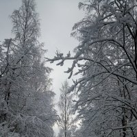 В День весеннего равноденствия 20.03.2018 :: Елена Павлова (Смолова)