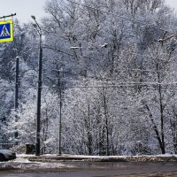Мартовский снег :: Виктор Никитенко