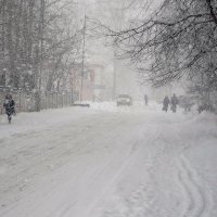 Мартовский снегопад. :: Сергей l
