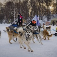 Старт1 :: Евгений Житников