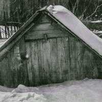 winter snow :: Юлия Денискина