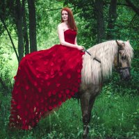 фотосессия с лошадью :: Юлия З