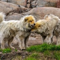 вдвоём не так скучно :: Георгий А