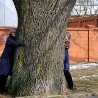 Не свалили, не сумели, видно каши мало ели. :: Виктор Гузеев