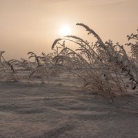 Снег,мороз и солнце... :: Сергей Герасимов