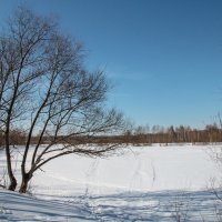 прогулка на водоем :: Ольга (Кошкотень) Медведева