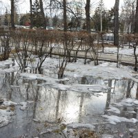 Весна берёт своё :: юрий Амосов