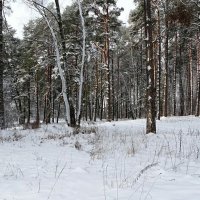 Картинка минувшей зимы :: Милешкин Владимир Алексеевич 