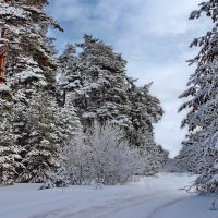 А утром зазвенит капель апреля... :: Лесо-Вед (Баранов)