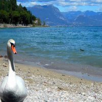 Озеро Гарда и Альпы :: Алла Захарова