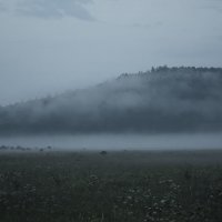 В тумане :: Надежда Преминина